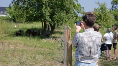 Naturschaugarten - Martin Knof hielt die Tiere fotografisch fest.